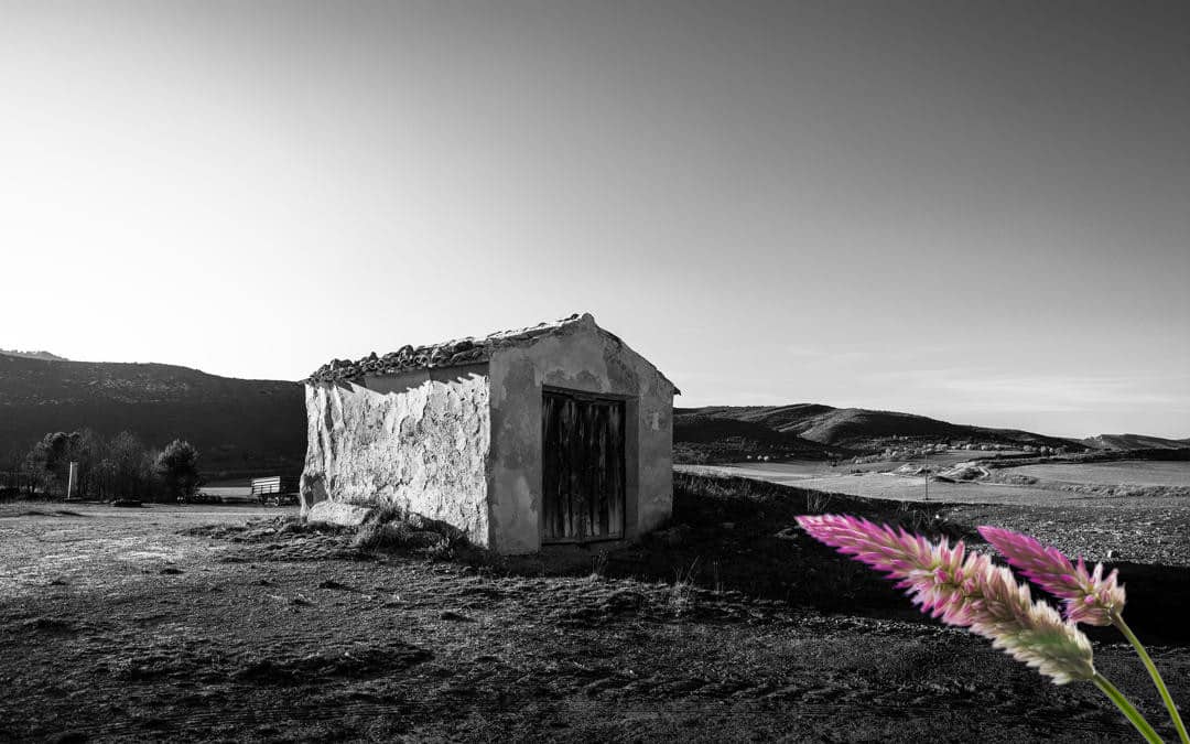 Solución al Abandono del Medio Rural y Forestal