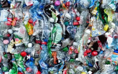 De desperdicio a recurso, valorización de envases y botellas de plástico