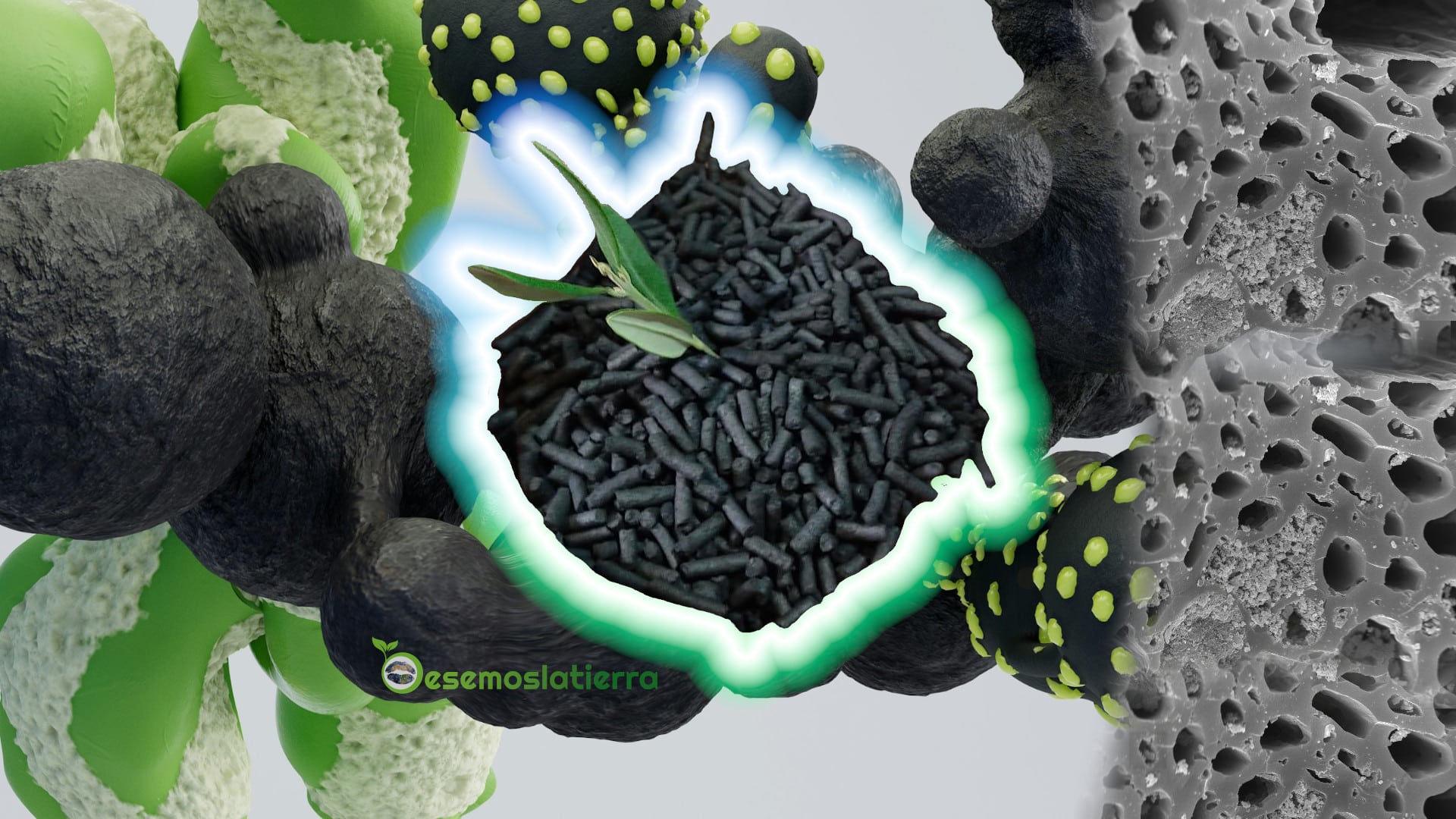 biochar carbon vegetal sostenible ()